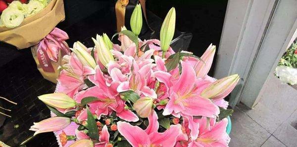 百合花的含义与象征（揭示百合花的深层含义和文化象征）
