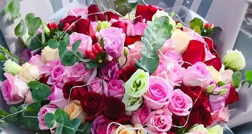 玫瑰花的花语——浪漫之美（玫瑰花的花语意义及传承）