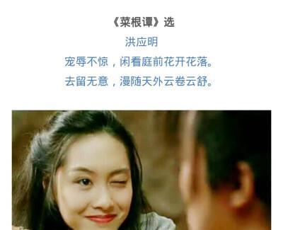 依米花的花语是什么？这种珍稀花朵的含义你知道吗？