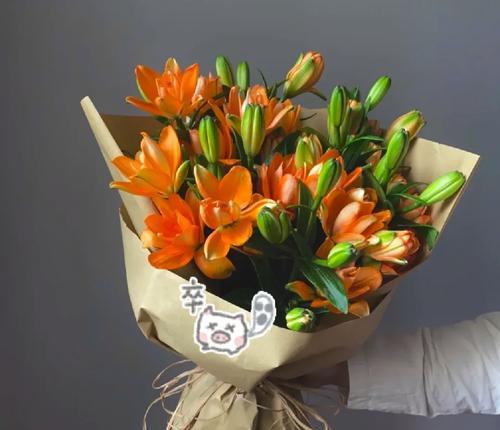 什么花的花语是发财？哪种花卉象征财富？