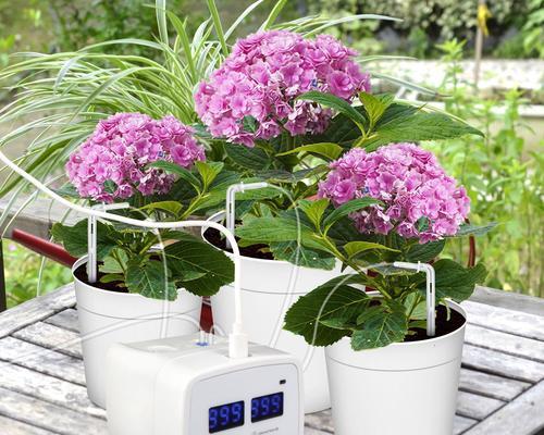 自动照顾植物的设备有哪些？如何解决植物饥荒问题？