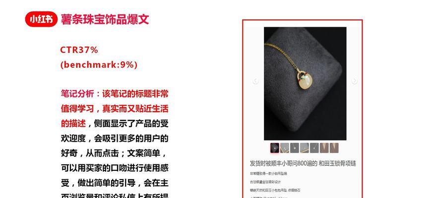 花卉推广方案有哪些名称？如何选择合适的推广方案？