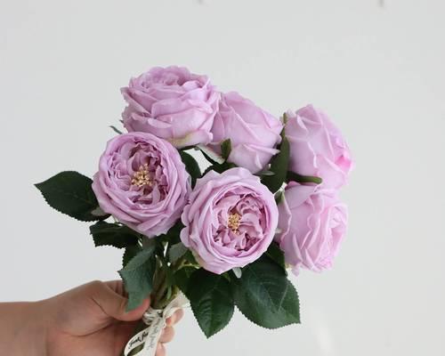 如何插出好看的玫瑰花瓶花艺？
