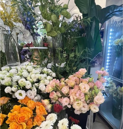 玫瑰花如何正确放置和养护？