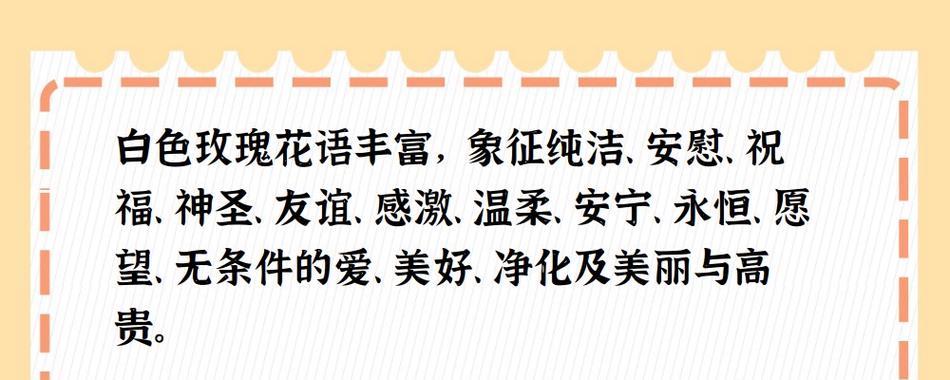 白玫瑰的花语有何含义？它在花语中代表了什么？