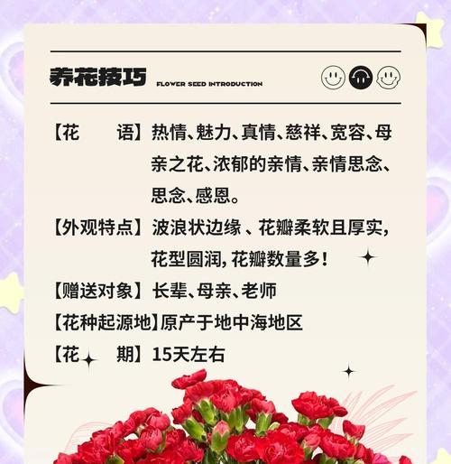 康乃馨代表什么花语？康乃馨花语的含义是什么？