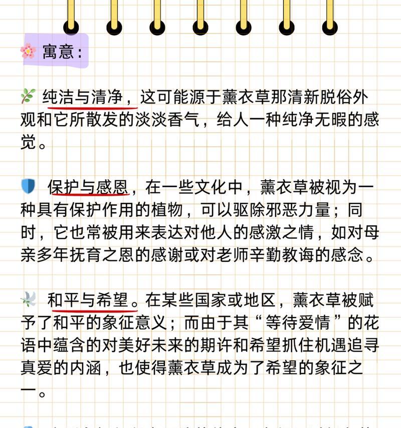 唯一爱情的花语代表什么含义？