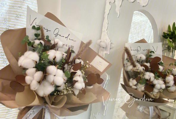 一捧冰淇淋花语是什么呢？冰淇淋花语的含义是什么？