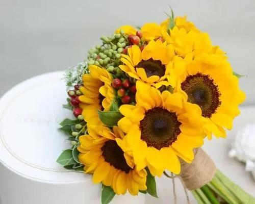 一捧冰淇淋花语是什么呢？冰淇淋花语的含义是什么？