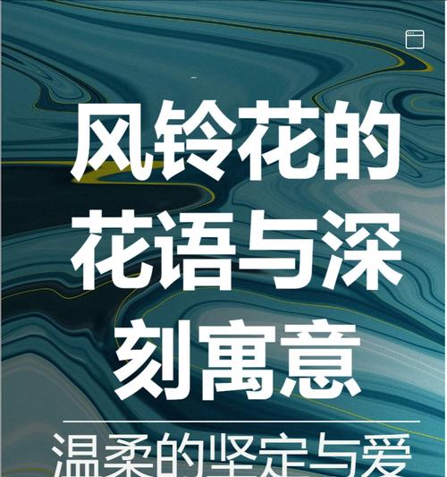 白风铃花传递了哪些信息？