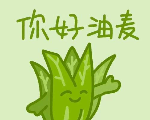花语的谐音梗有哪些含义？
