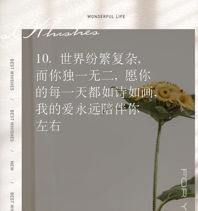 表达遇见的花语是什么诗句？它传达了怎样的情感？