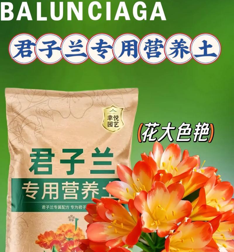 君子兰土的繁殖方法有哪些？