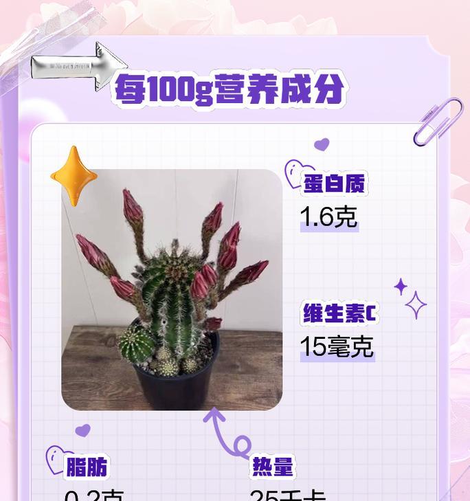 仙人掌叶子霉菌的处理方法有哪些？