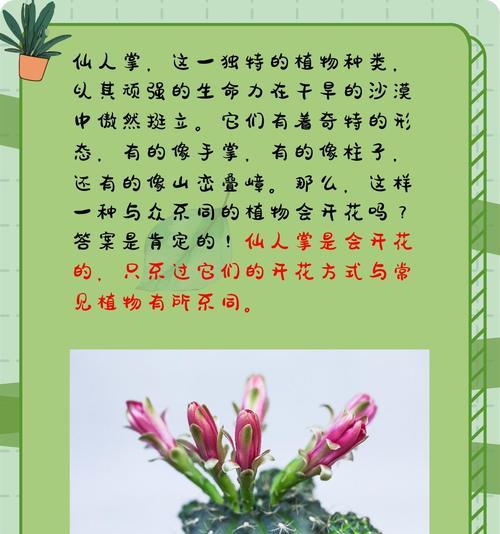 仙人掌开花后就凋谢了？是什么原因导致的？