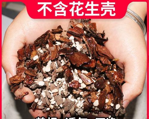 君子兰施肥推荐？哪种肥料最适合？
