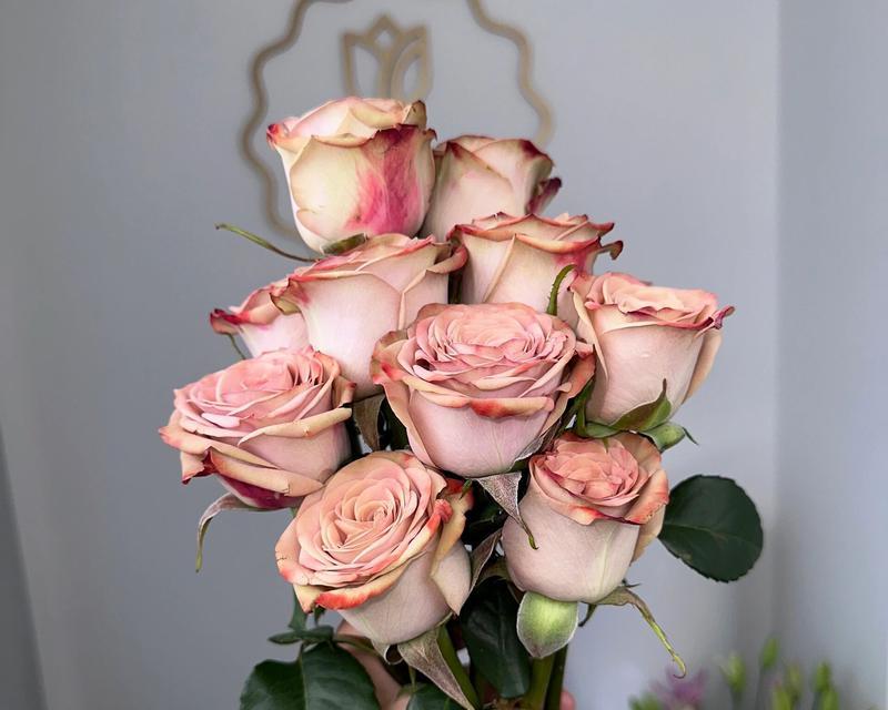 玫瑰花插在花瓶中如何保养？花瓶养玫瑰的秘诀是什么？