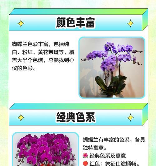 哪种蝴蝶兰品种最适合室内养殖？如何挑选？