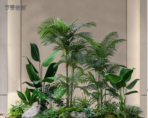 室内楼梯适合种植哪些造景植物？如何选择？