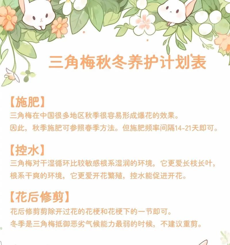 夏季三角梅的浇水技巧是什么？如何避免过度浇水？