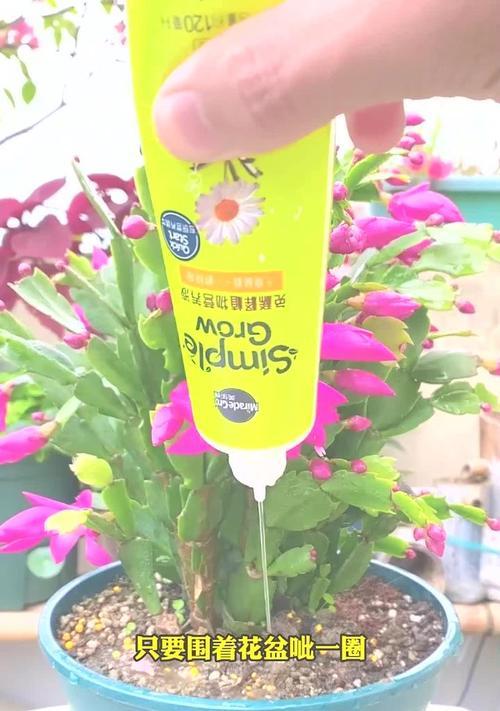 花卉营养液使用方法是什么？如何正确使用花卉营养液？