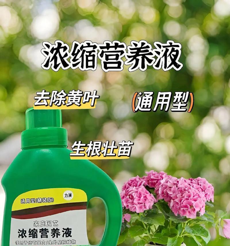 花卉营养液使用方法是什么？如何正确使用花卉营养液？