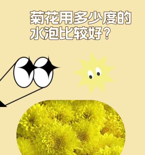 菊花的日常管理方法有哪些？如何使其开得更繁茂？