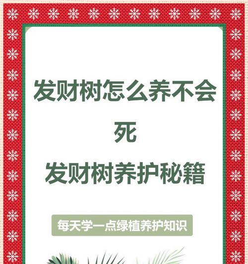 发财树修剪后如何促进快速恢复？