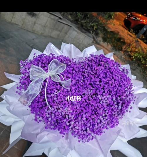 紫色满天星的养殖方法是什么？如何保持其花色鲜艳？