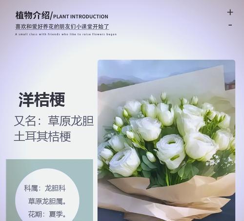 洋桔梗的正确养护方法是什么？如何延长其花期？