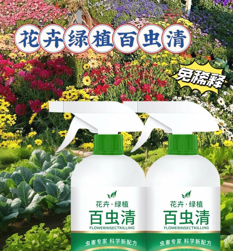 黑加仑葡萄树苗盆栽如何防治病虫害？常见病虫害有哪些？