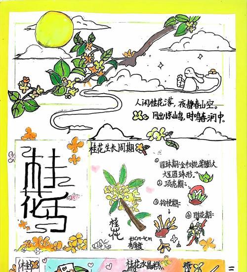 桂花繁殖的有效方法有哪些？