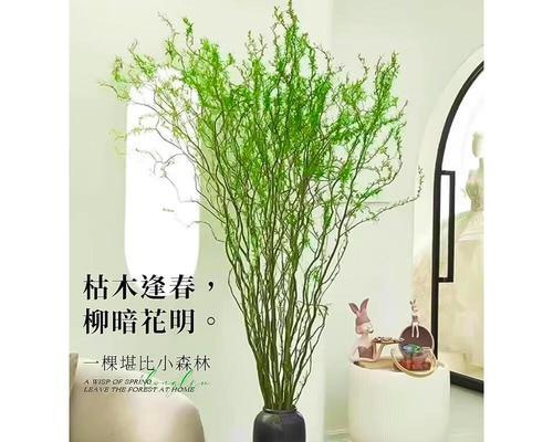 水培植物哪些最好养？如何选择适合的水培植物？