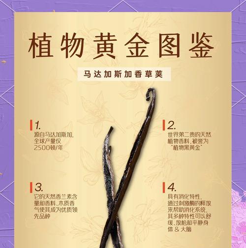 香草饼干象征着什么？花语是什么？