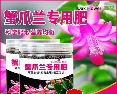 蟹爪兰的最佳肥料是什么？科学配比与个性化养护实战指南？