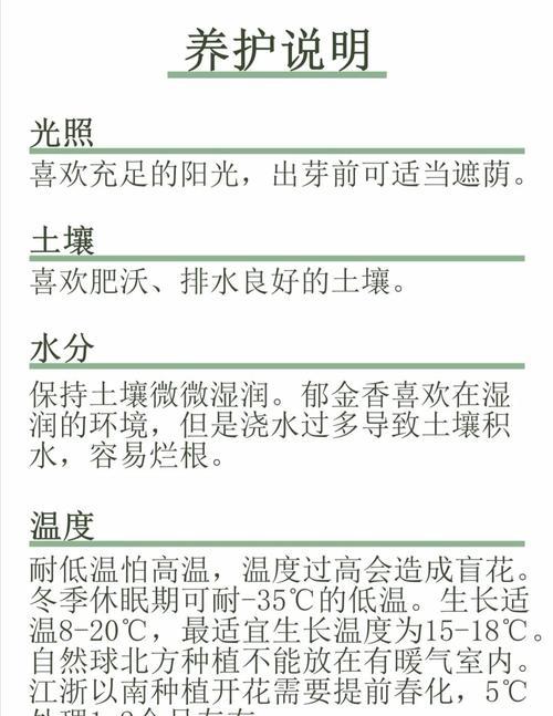 郁金香的故事是什么？种植指南有哪些？