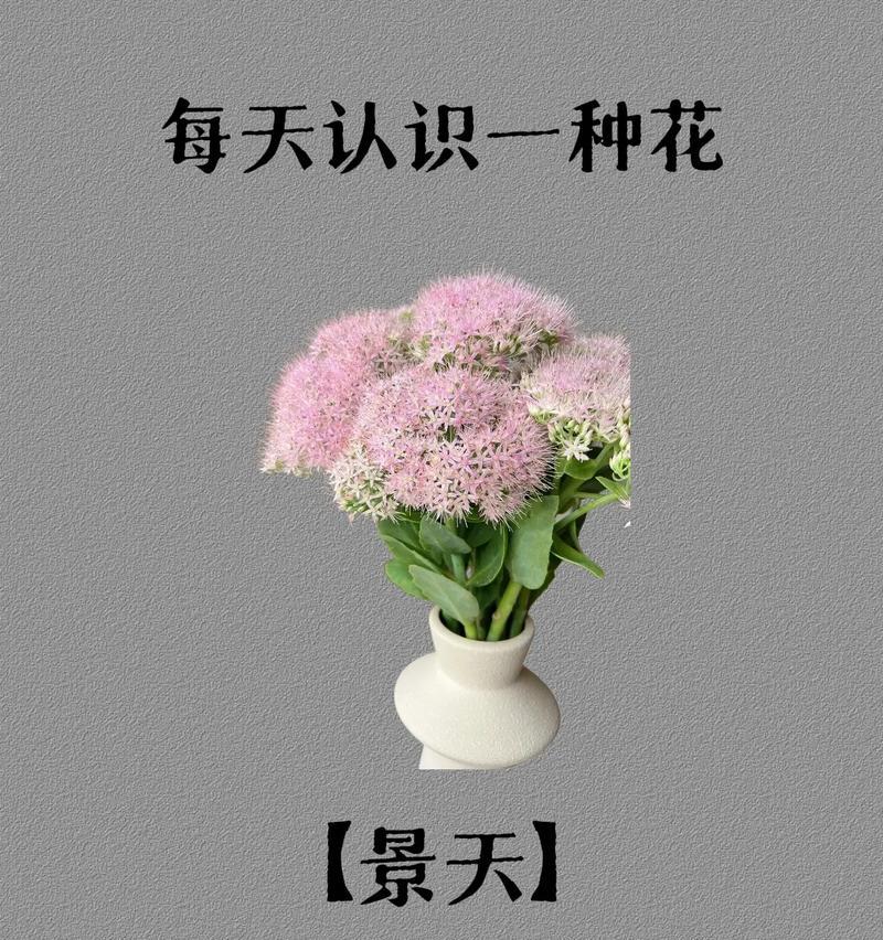 生态甲鱼养殖如何破局行业痛点？湖北依琪农研的技术如何赋能产业升级？