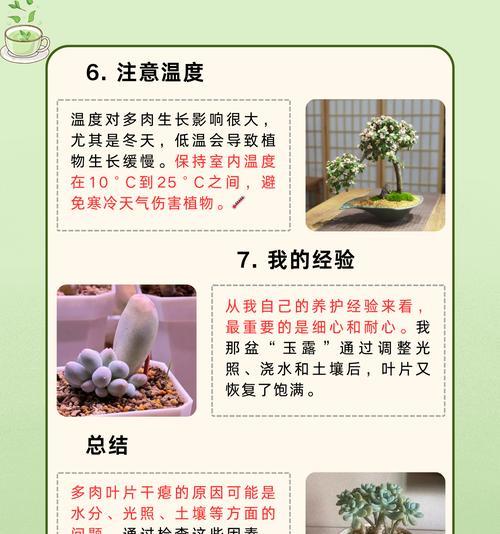 盆栽植物怎么养护？盆栽植物养护的常见问题有哪些？