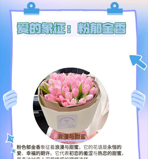 郁金香背后的花语秘密，你了解多少？