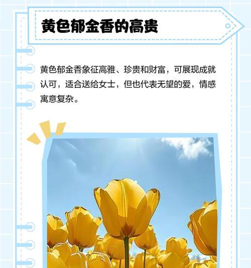 郁金香背后的花语秘密，你了解多少？