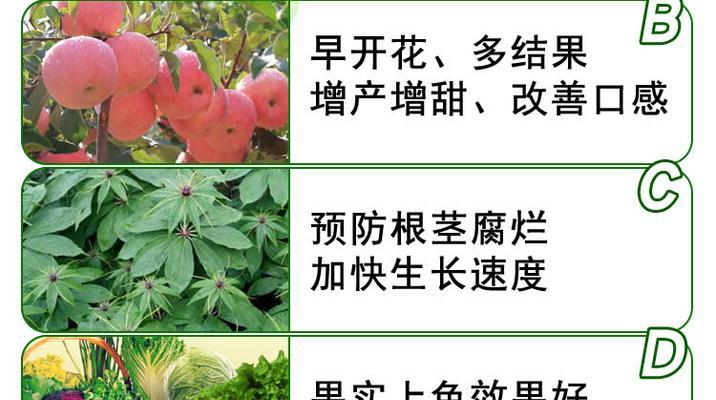 西红柿催芽方法及育苗移栽时间指南？
