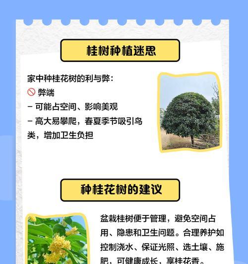 家里可以种桂花树吗？家庭种植指南与养护技巧？