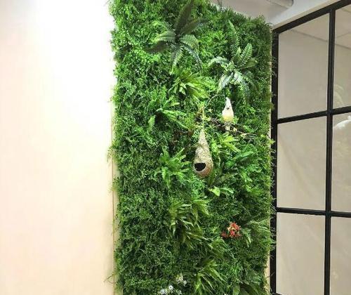 假植物装饰植物，如何选择和搭配？