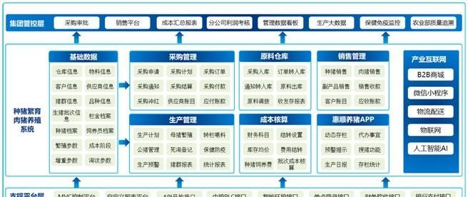 养殖小鸡的系统化方法与关键要点分析？
