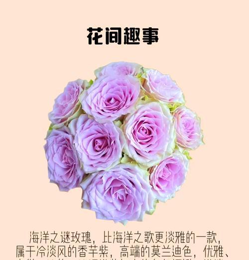 花瓶土培玫瑰花的养护技巧是什么？