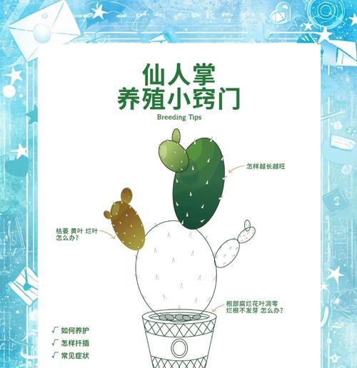 大株黄花仙人掌如何养护才能开花？
