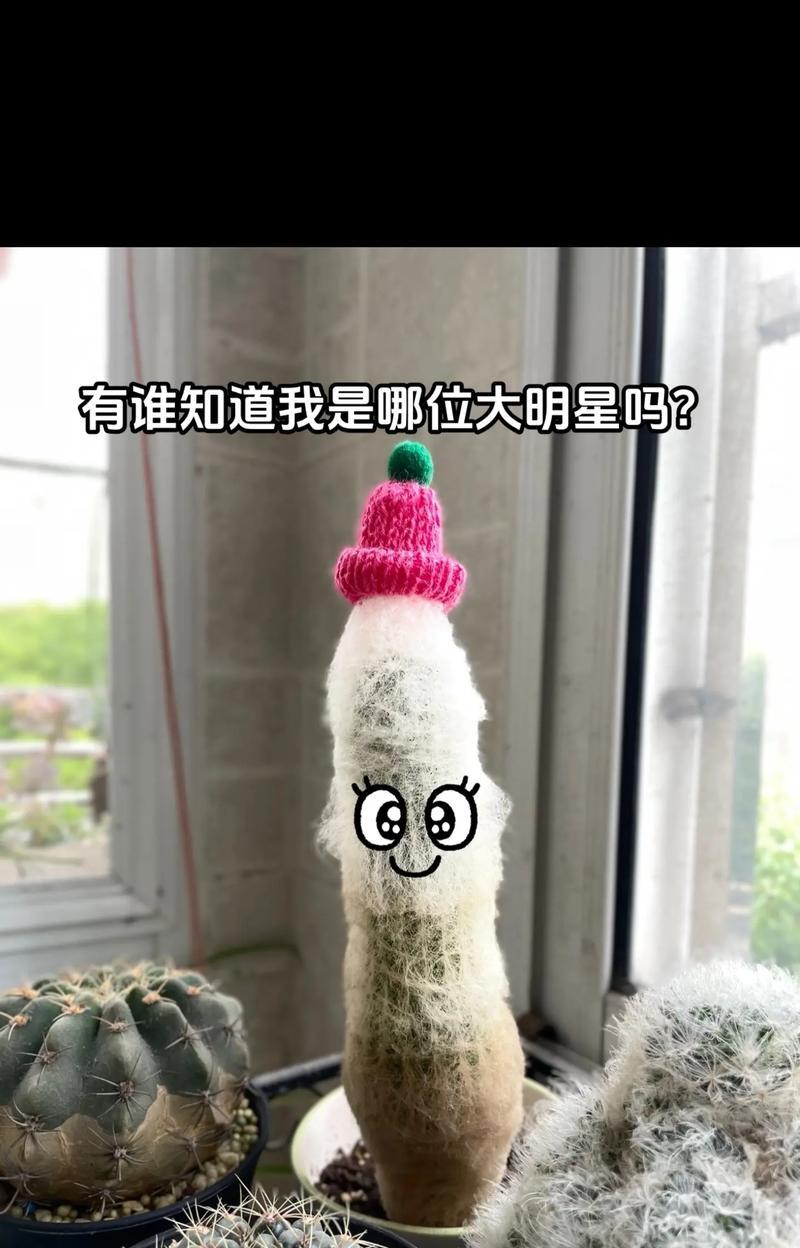 仙人球不开花只长籽是什么原因？