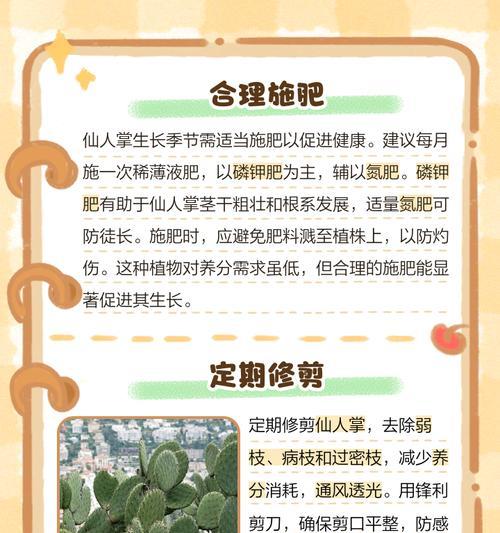 如何选择适合的开花仙人掌大小？