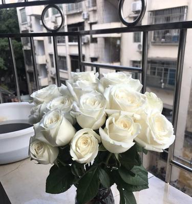 家用插花玫瑰花的正确养护方法是什么？
