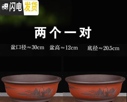 陶瓷花盘种植君子兰的步骤是什么？